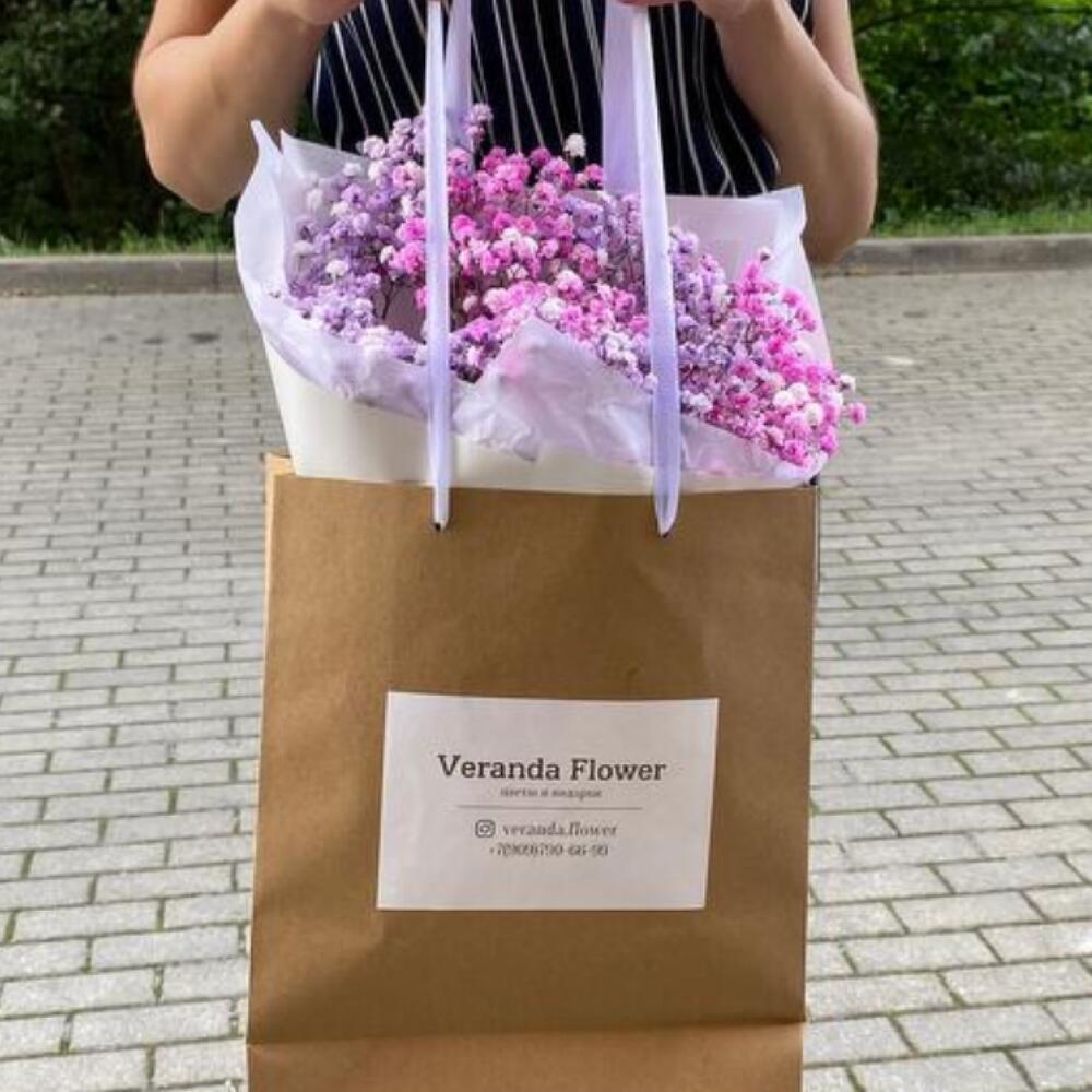 Gypsophila 💕