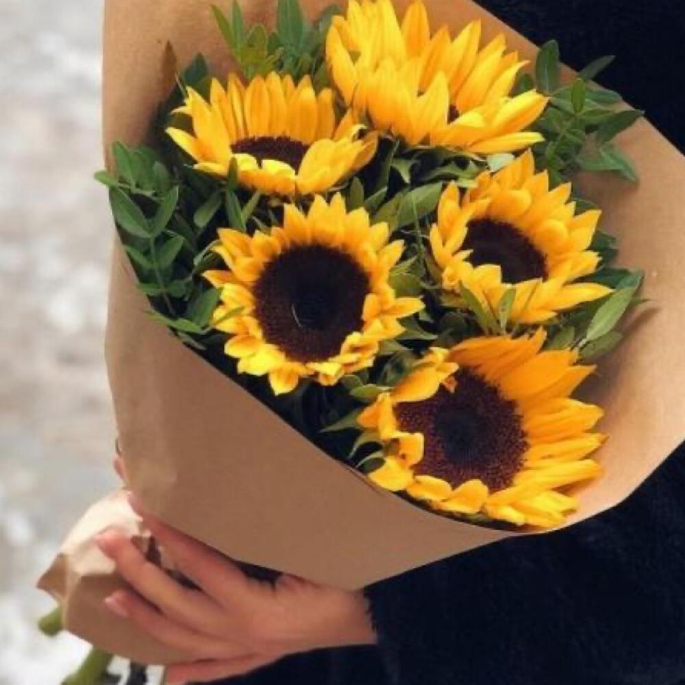 🍀Girasoles 🌻 😍