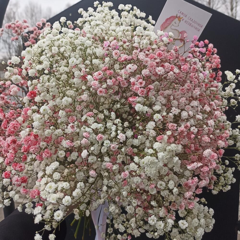 Bouquet of gypsophylla