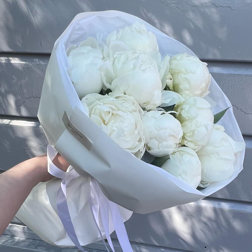 9 белых пионов ☁️