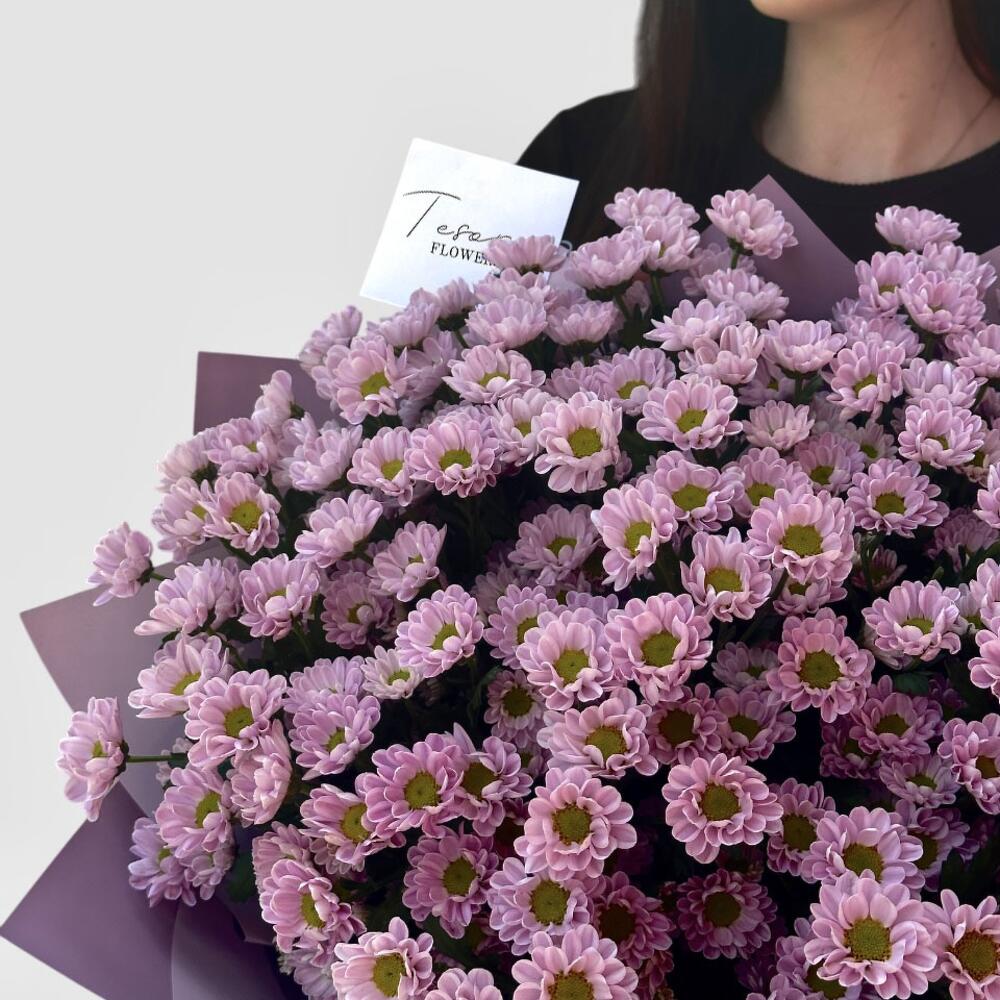 25 розовых хризантем