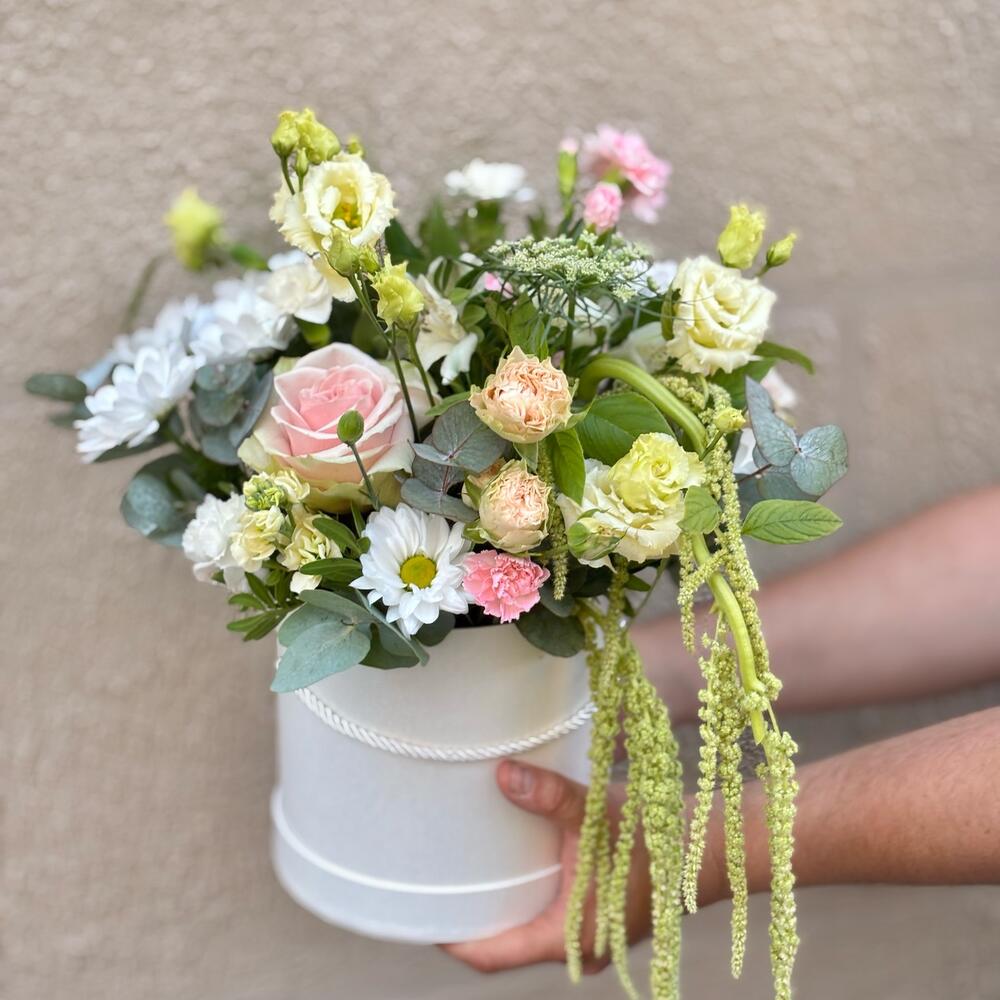 Сhampagne Rose