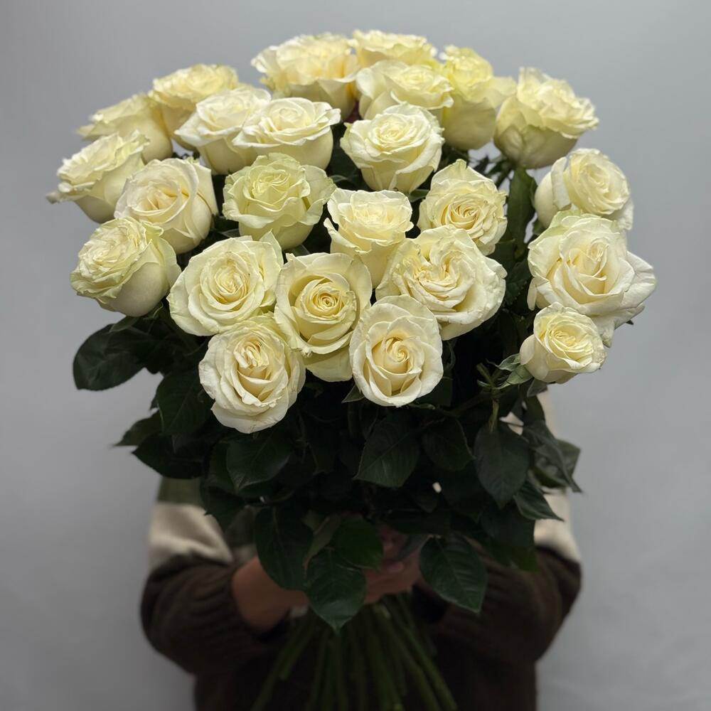 Bouquet of 25 Mondial roses
