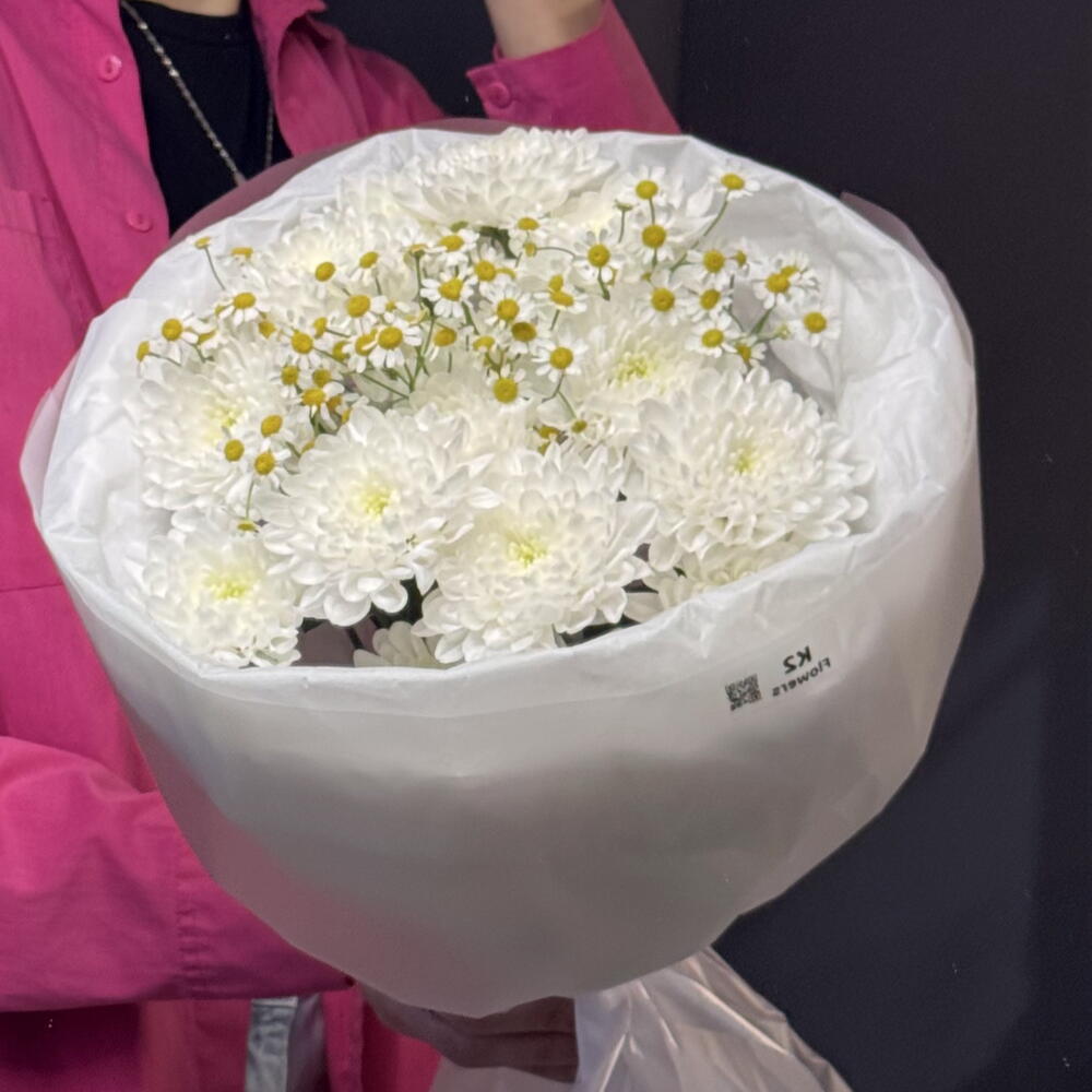 Ромашковое поле s