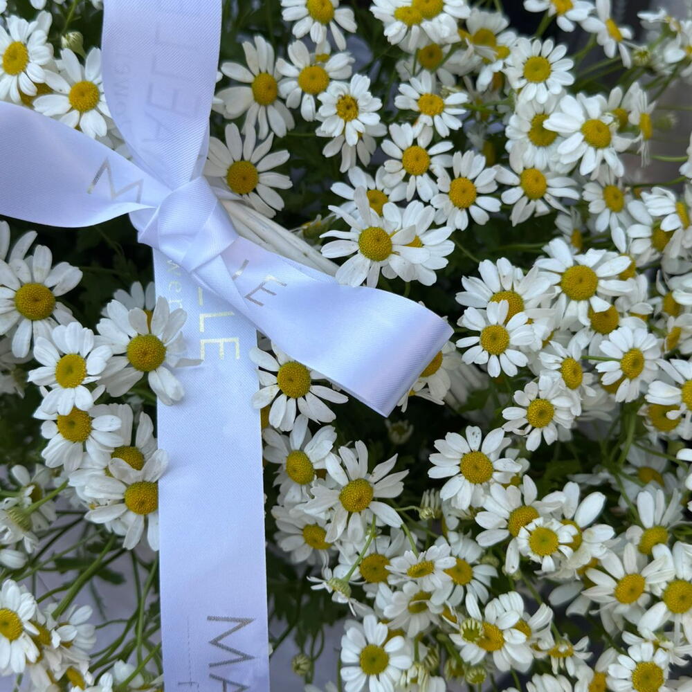 Daisy Mood