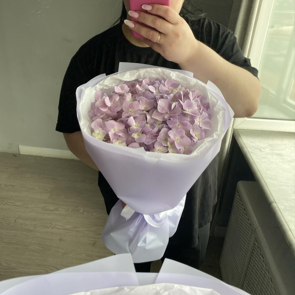 Лиловая гортензия