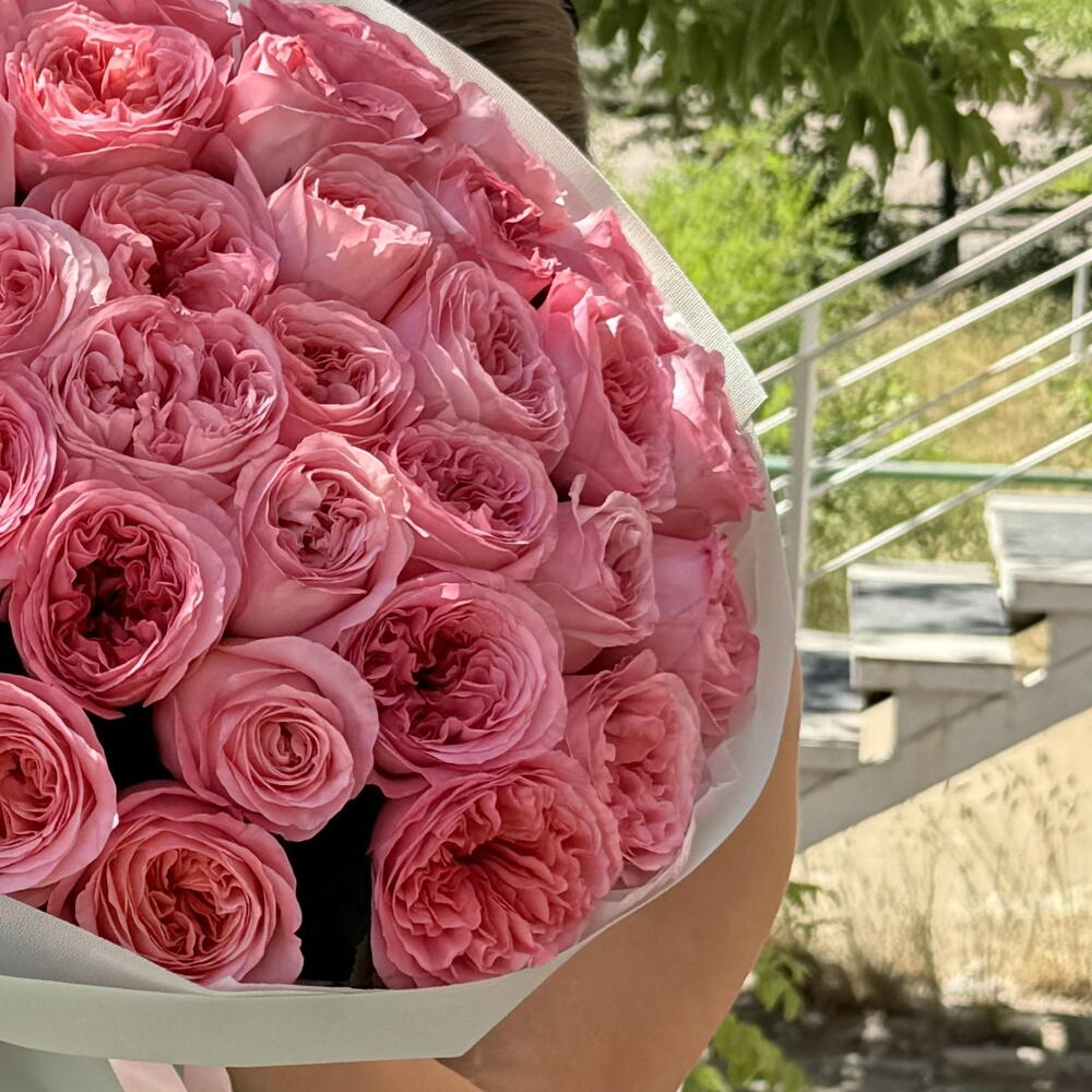 Пионовидные Розы Pink xpression