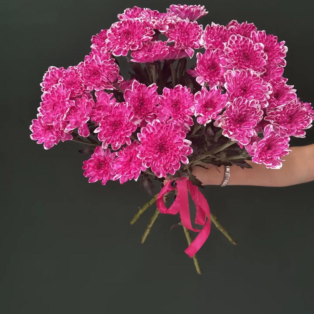 5 хризантем под ленту💐