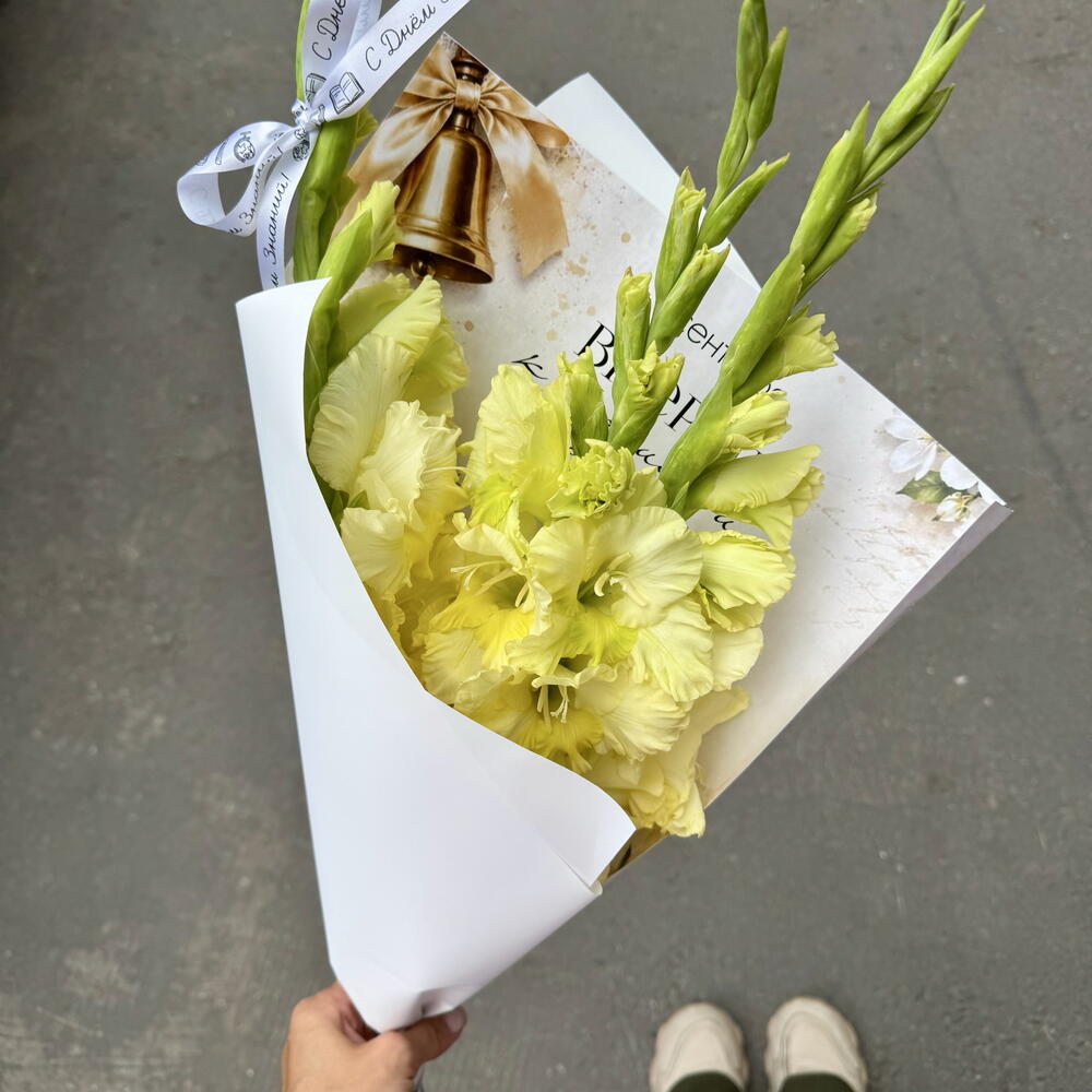 Гладиолусы на 1 сентября 💛