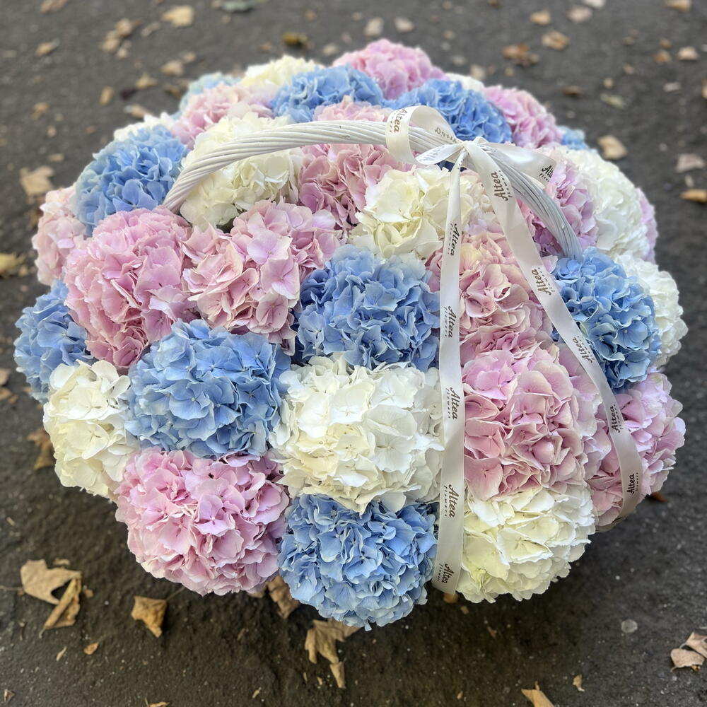 Hydrangeas in basket