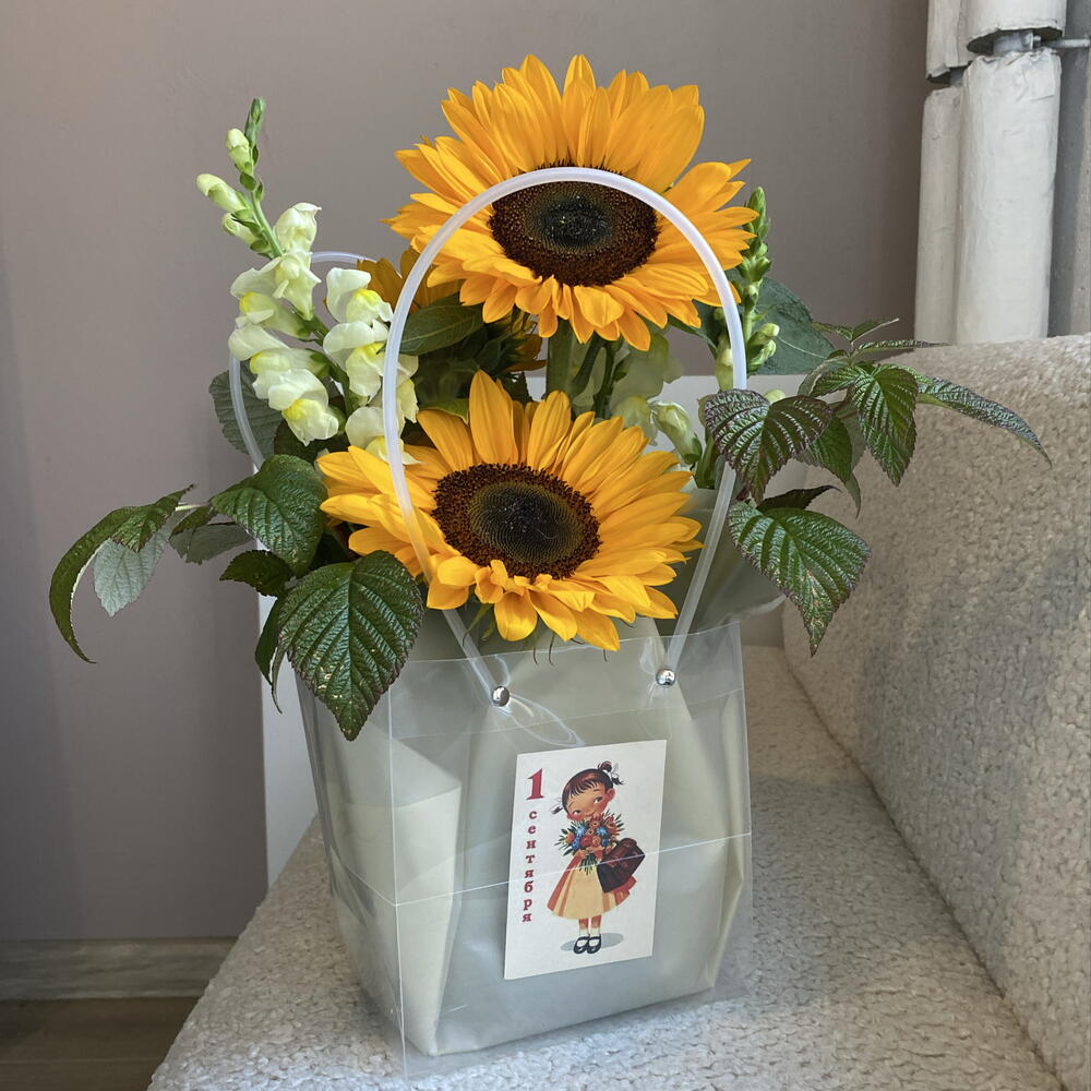 Подсолнухи 🌻