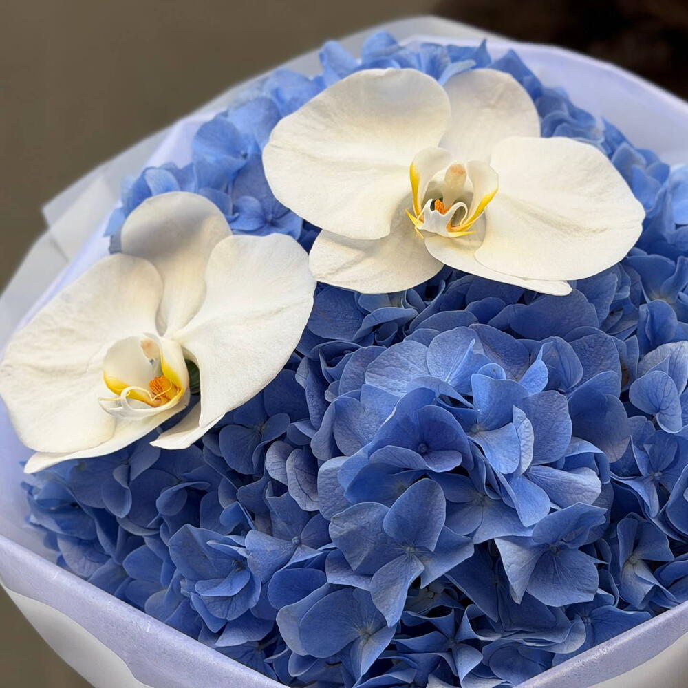 Облачко 💙