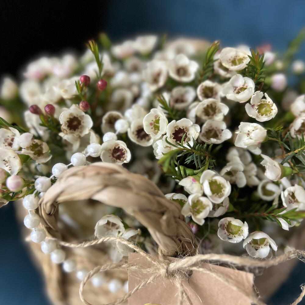 Хамелациум в корзине🌺🌸🌸
