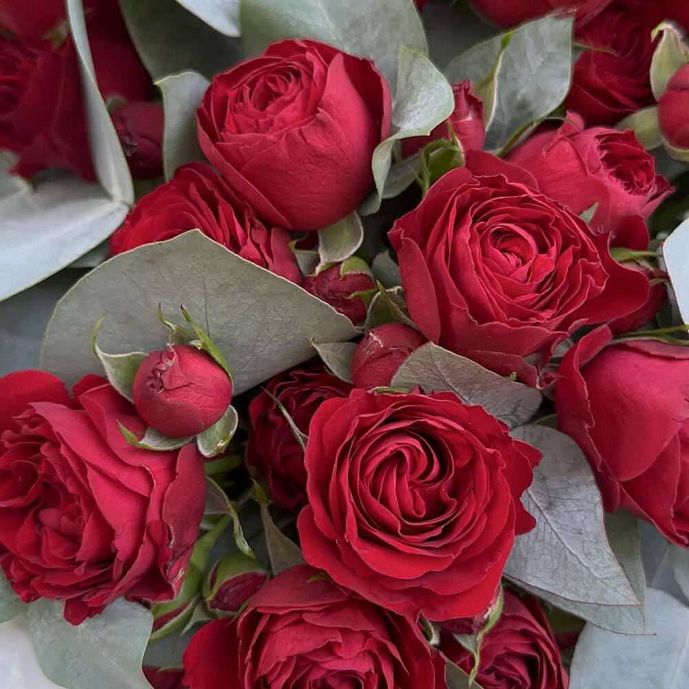 Bouquet 223