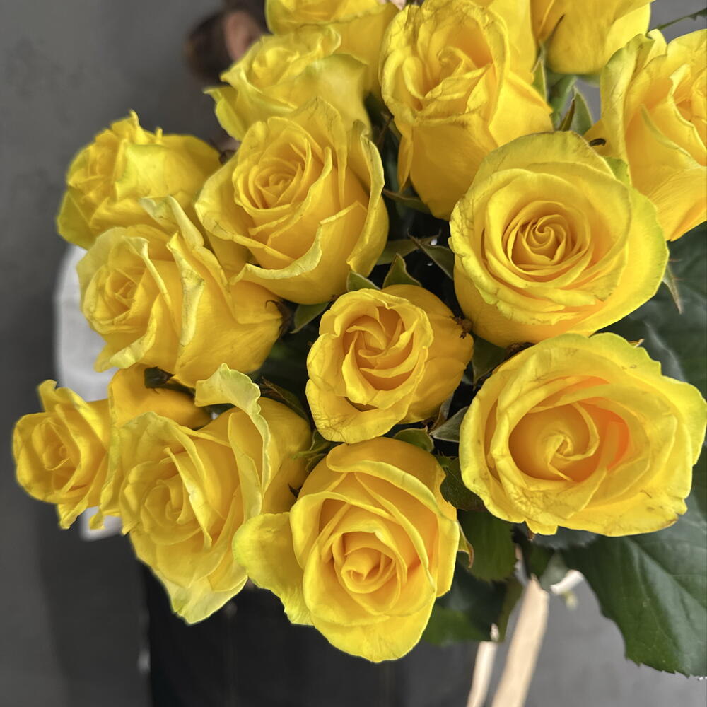 Розы Россия💛