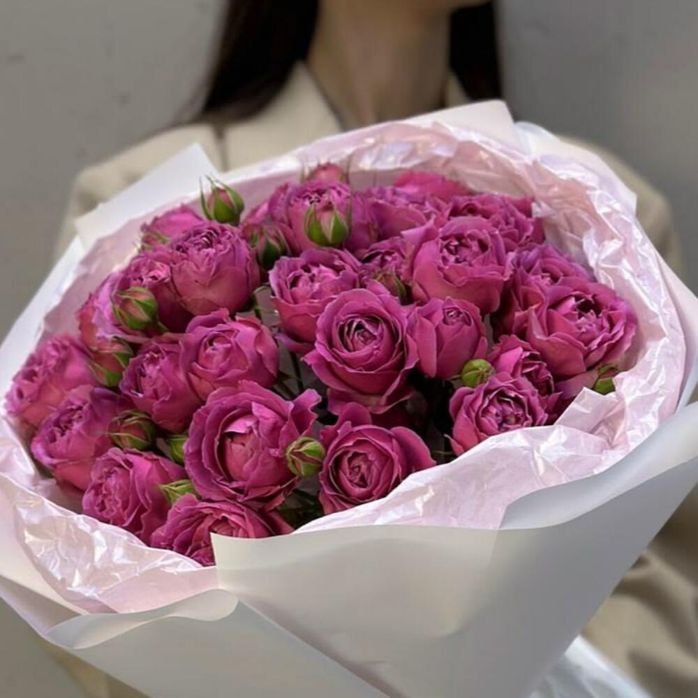 Pink Elegance💓
