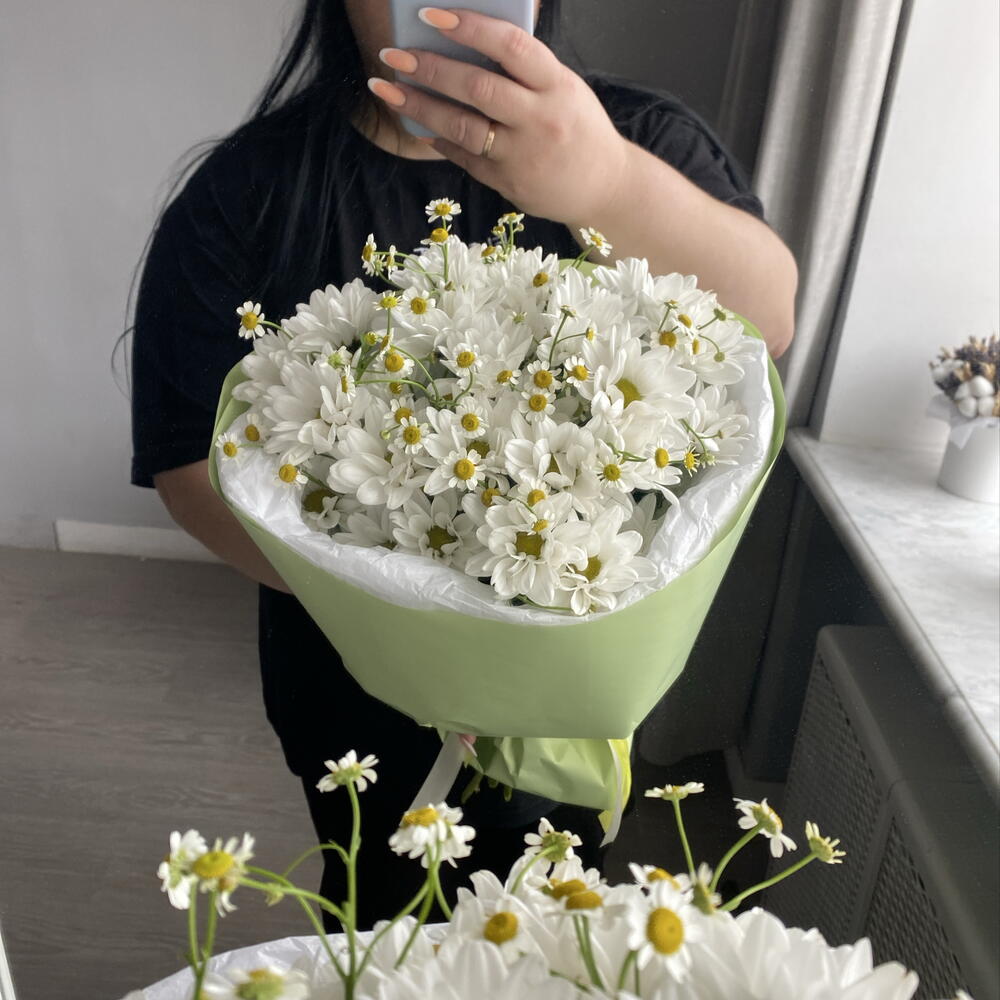 Ромашки