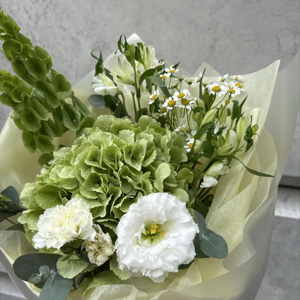 Букет с гортензией и молюцеллой — нежный объёмный букет в подарок 💐