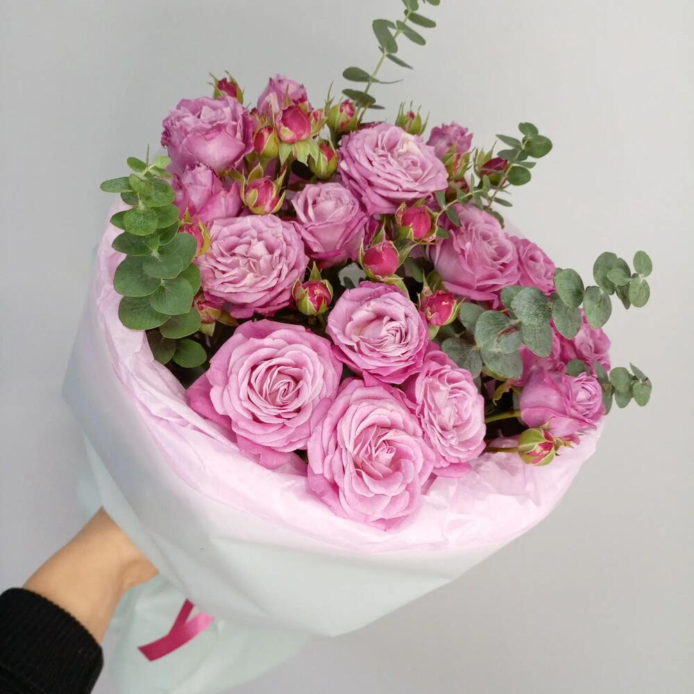Кокетка 1