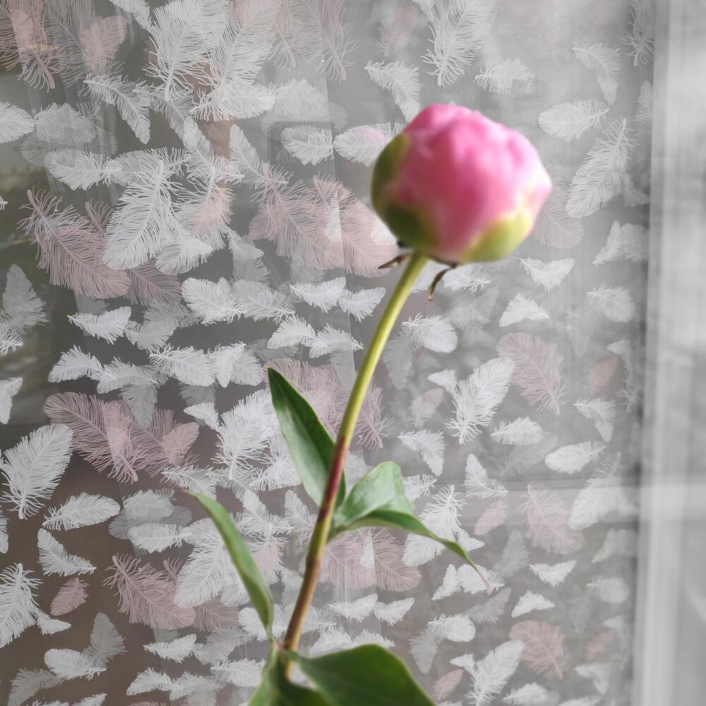 Пион