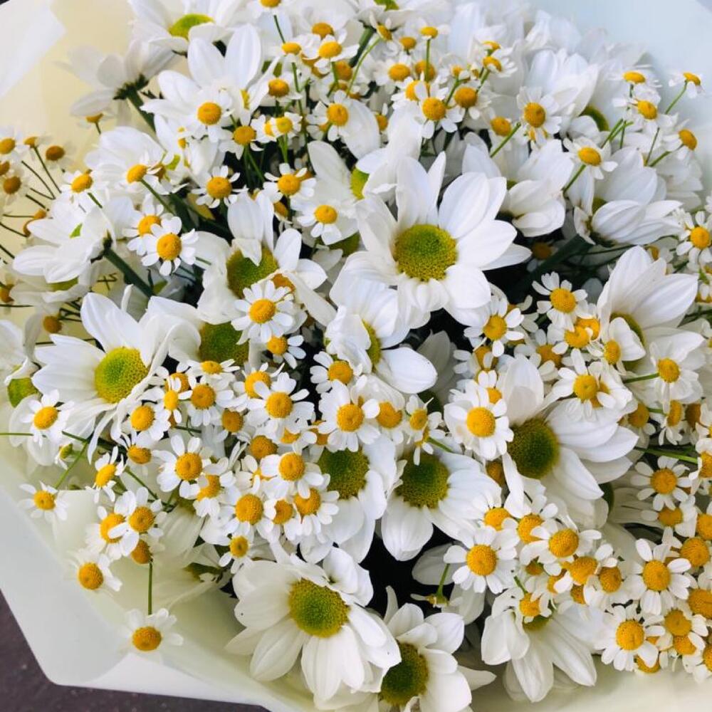 Букет из ромашек (танацетум и хризантема кустовая )