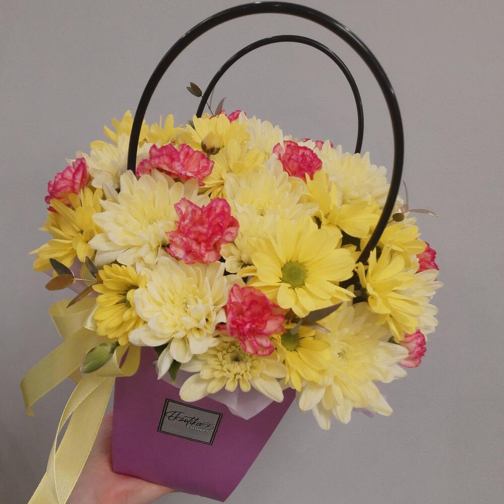 Play with chrysanthemum