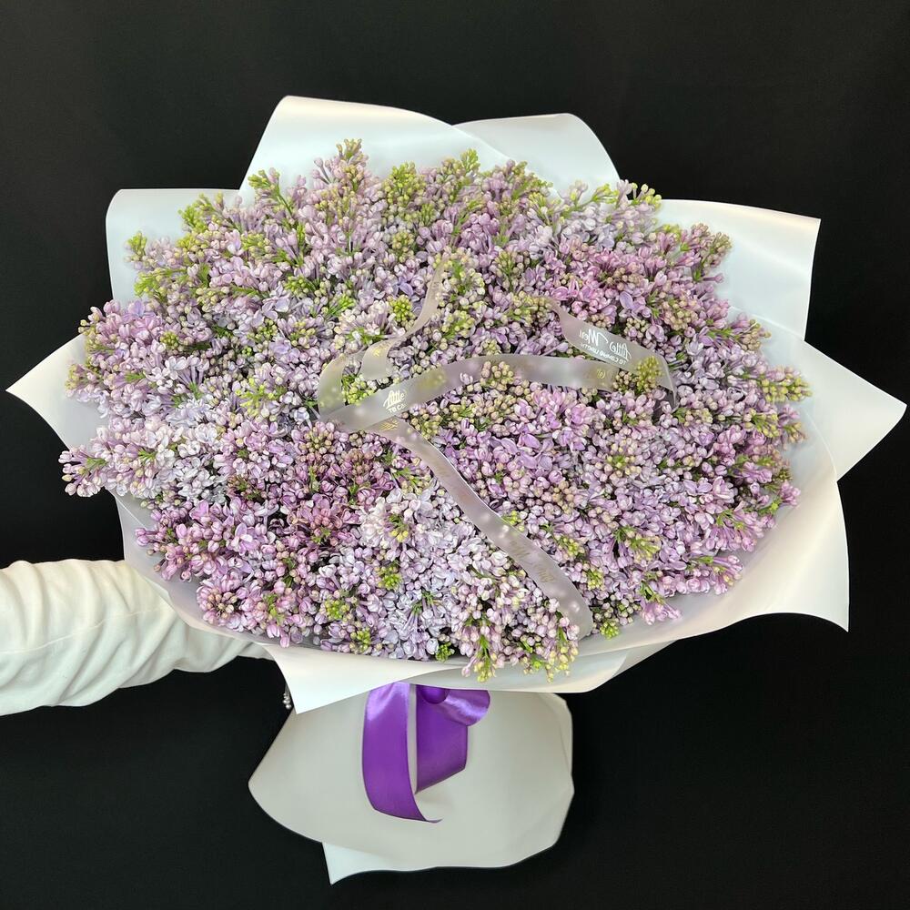 Сирень 💜