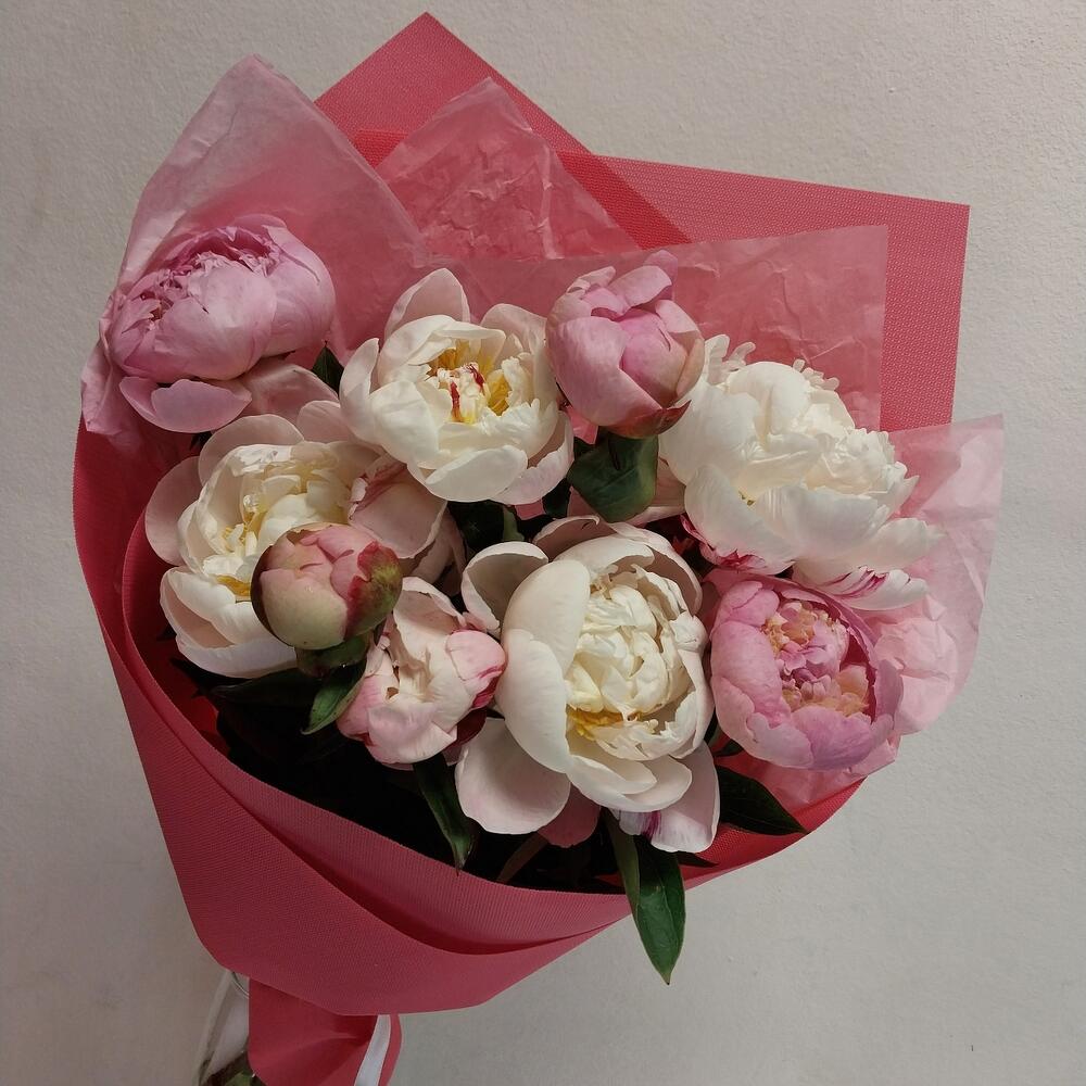 Букет из 9 розовых пионов