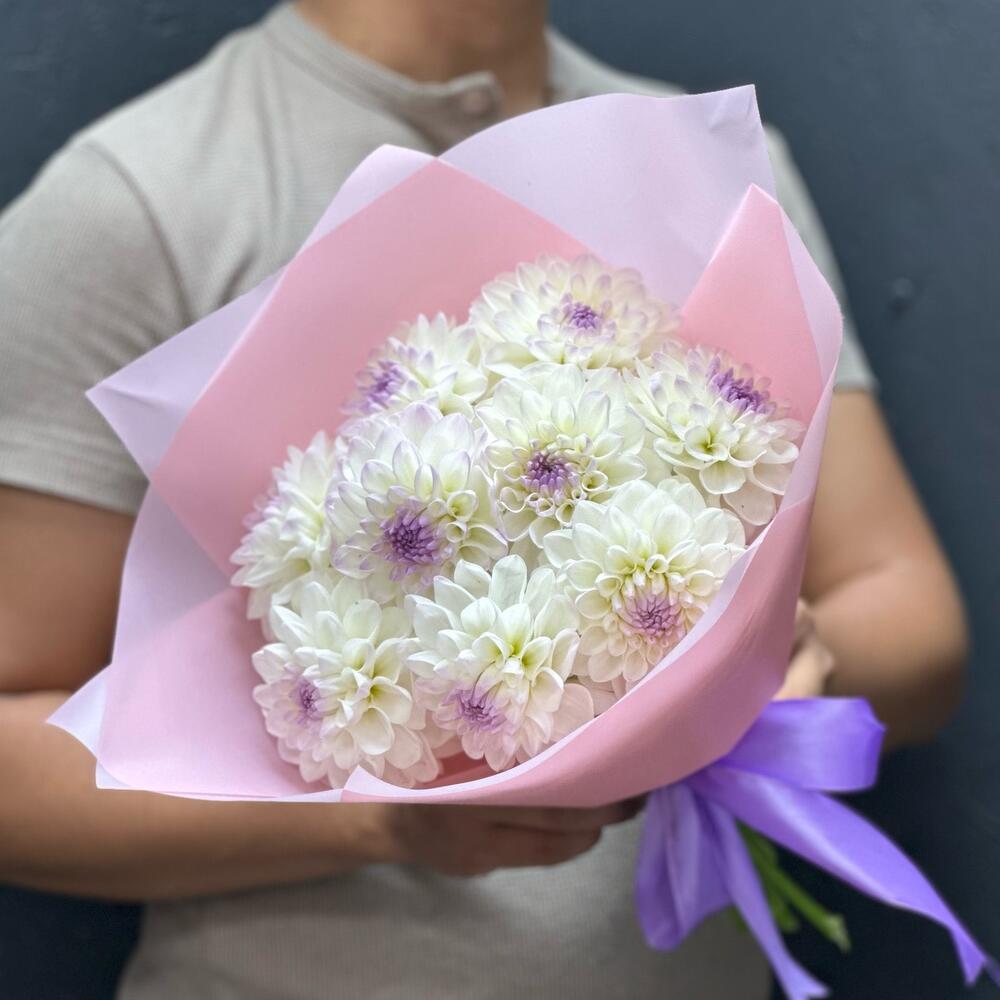 Dahlias
