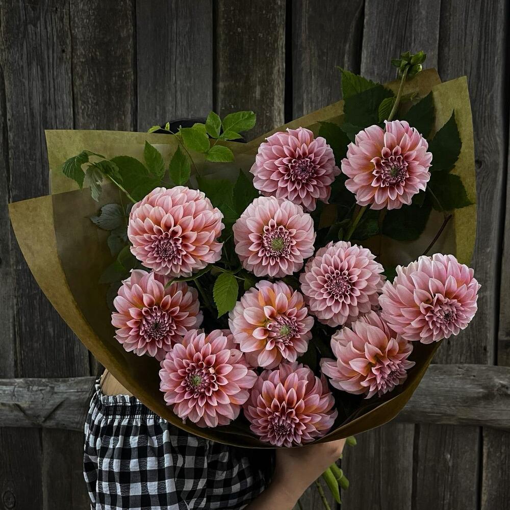 Monobook made of trendy dahlias and raspberry twigs in craft FM431
