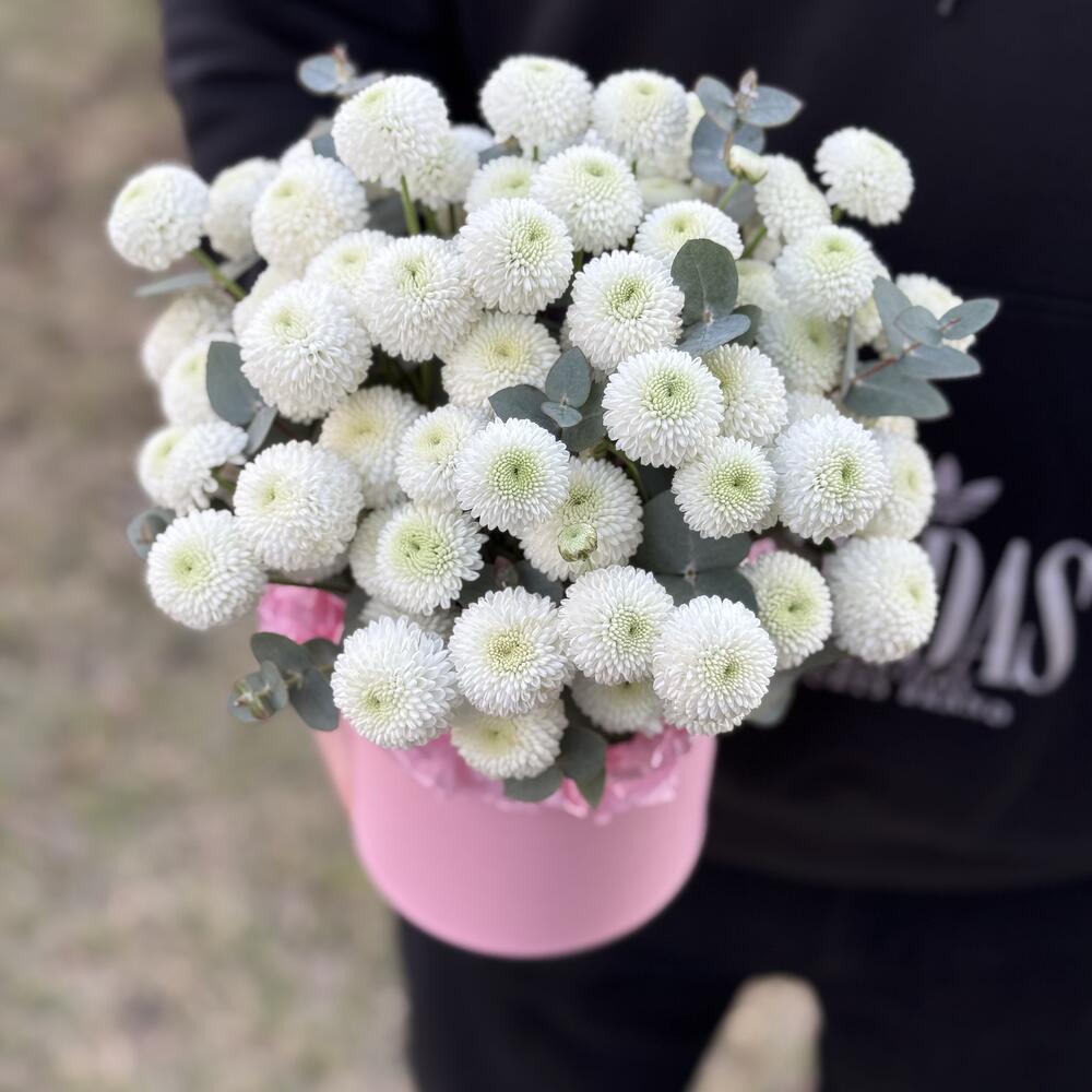 Хризантема кокос в коробке