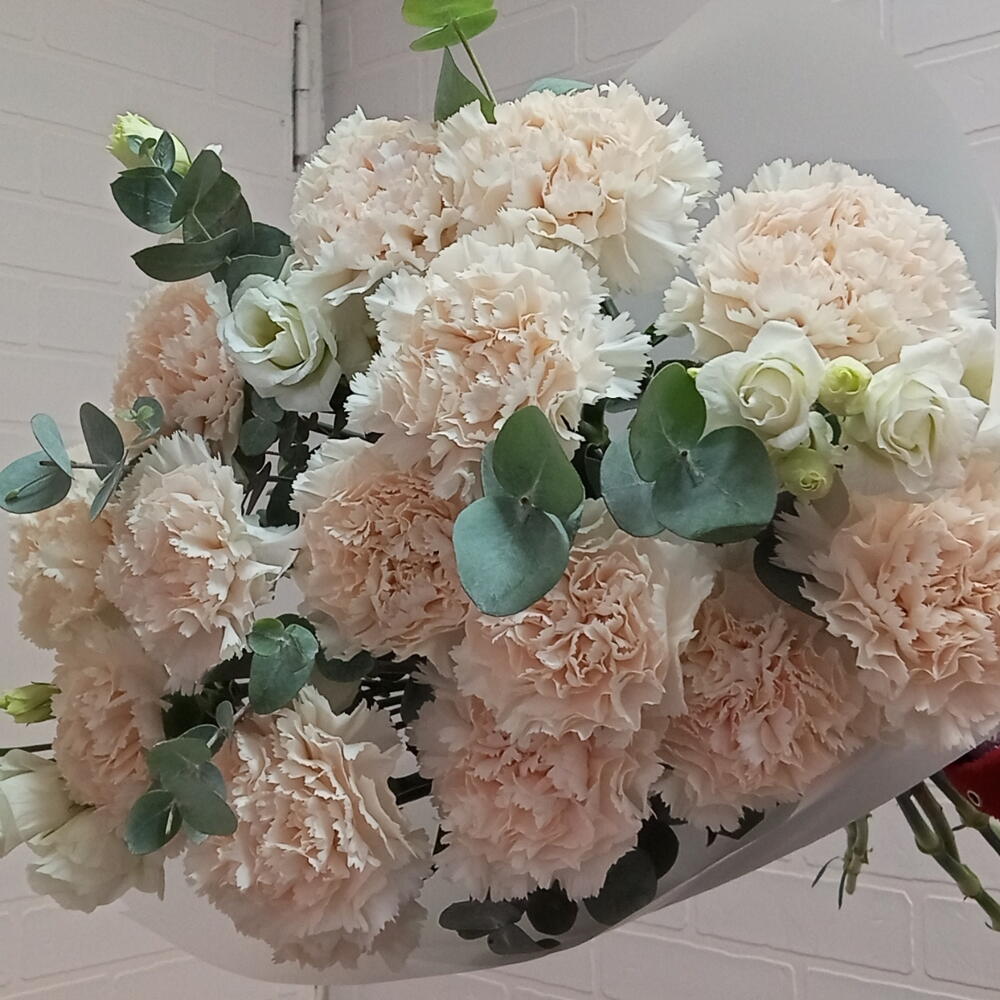 Пудровый Диантус м Эустома🌸🌸🌸