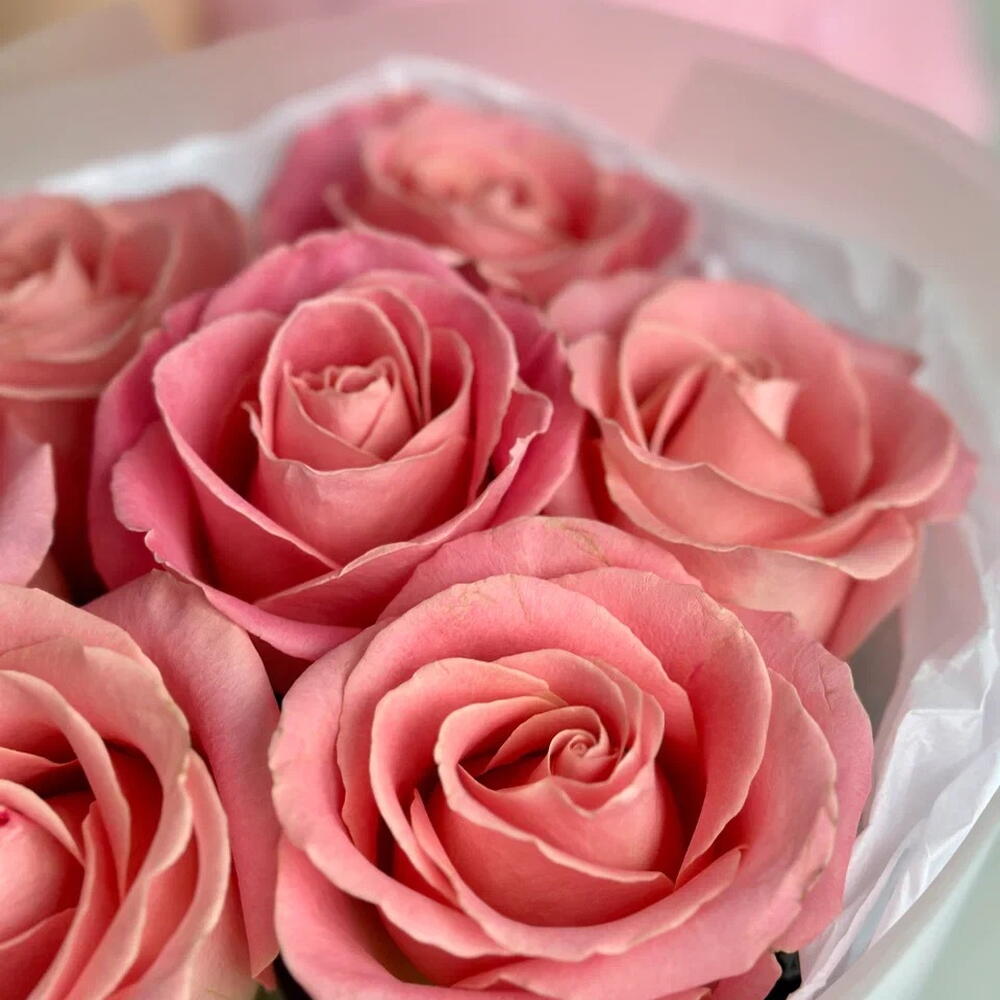 "7 rosas Hermosa" 21