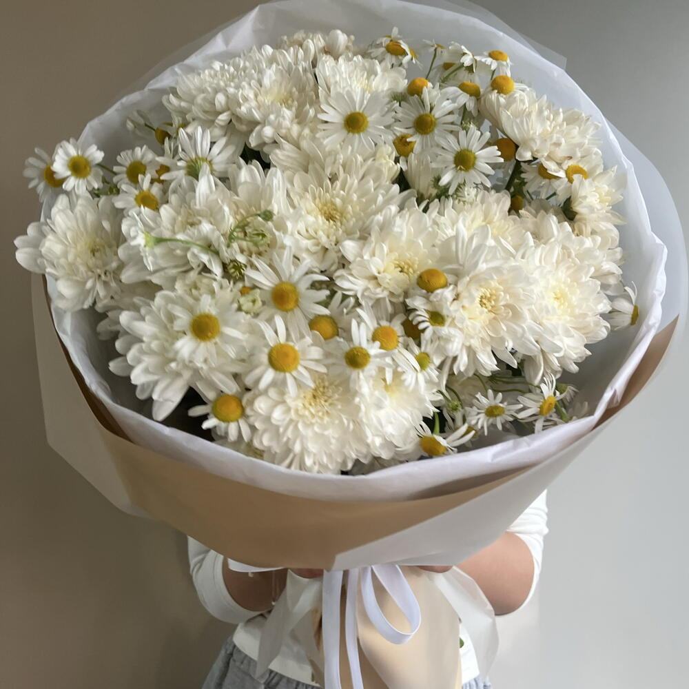 Хризантема и ромашки