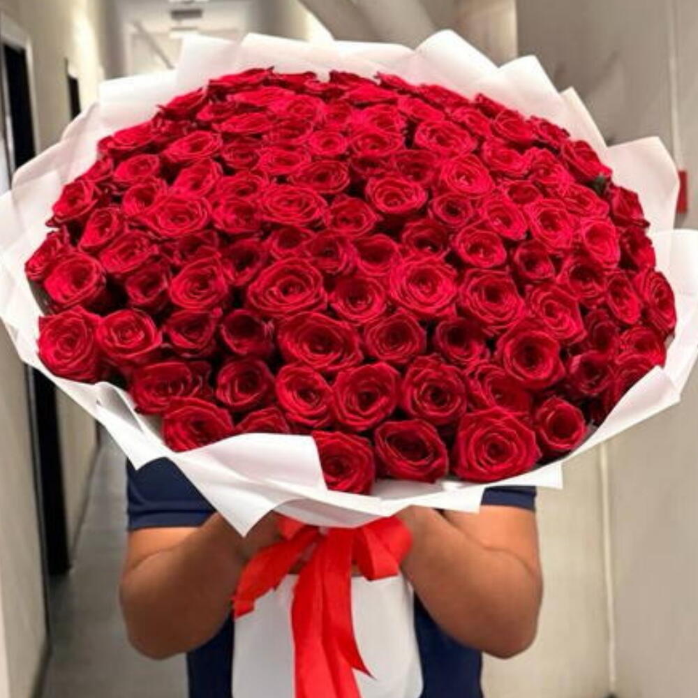 101 красная Роза букет 🌹