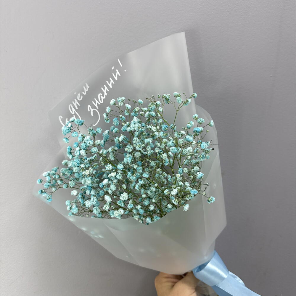 С Днём знаний 13