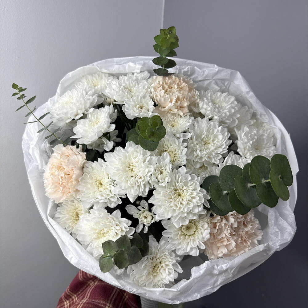 День знаний 24