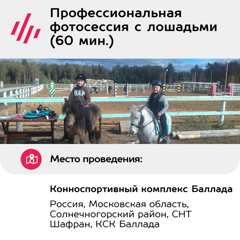 Подарочный сертификат Профессиональная фотосессия с лошадьми (60 мин.) (Московская область)