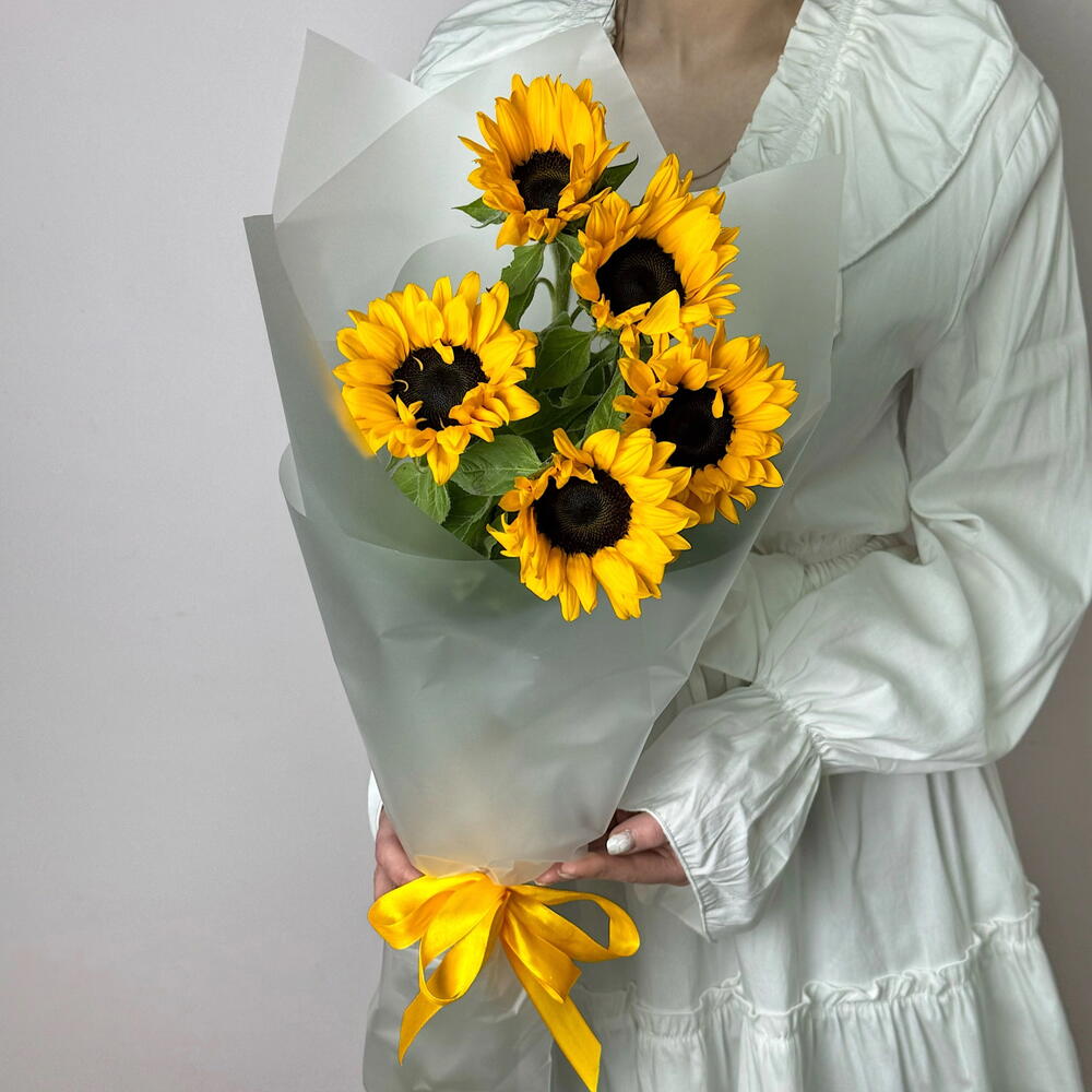 Подсолнухи🌻