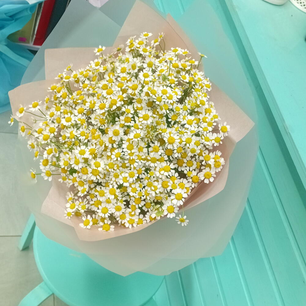 Ромашки  15