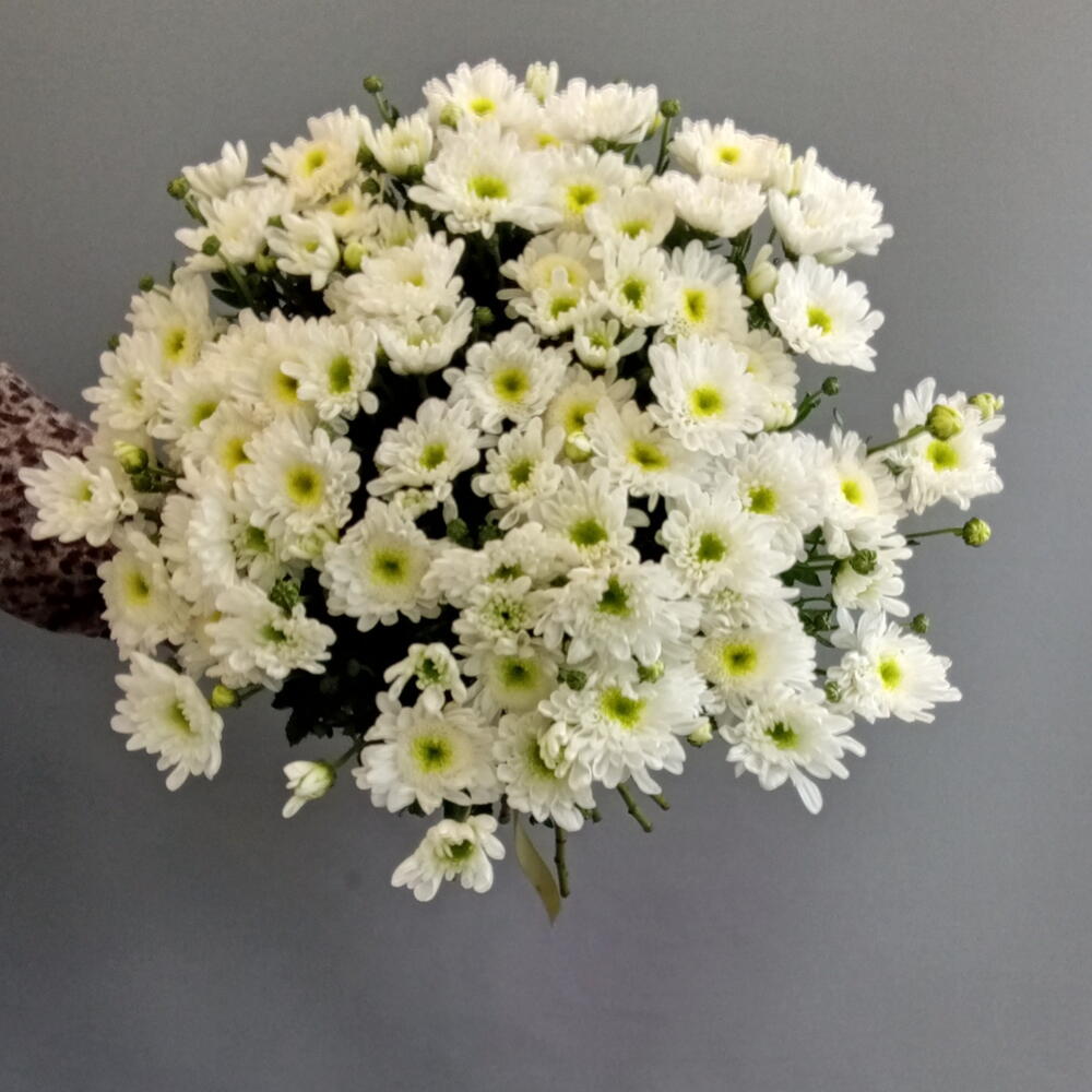 Свежесть