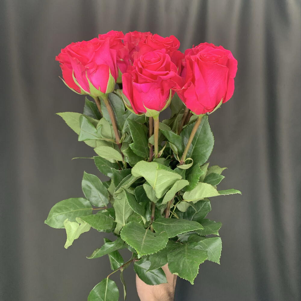 Роза VI Pink 9 шт