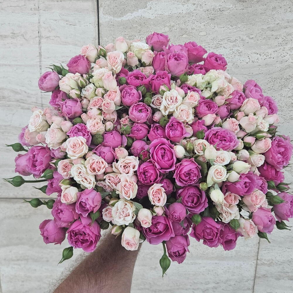Розы ассорти мисти