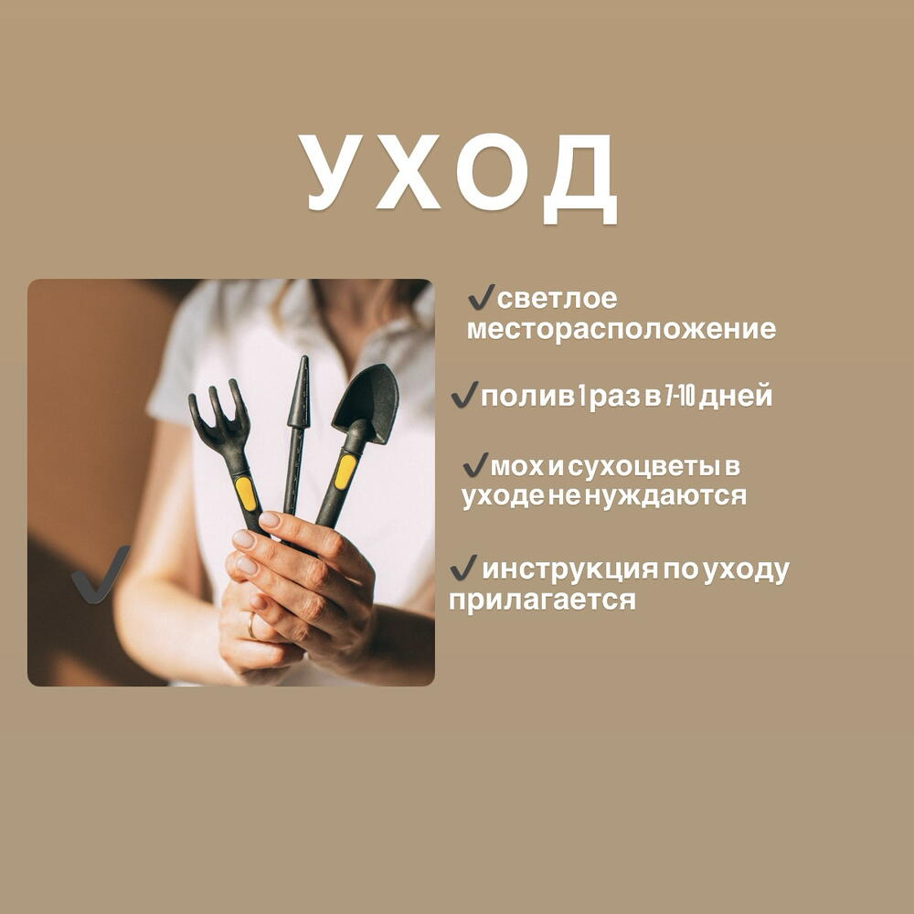 Флорариум «Икосаэдр» для девушки подарок