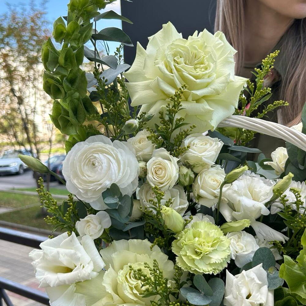 Зеленая поляна