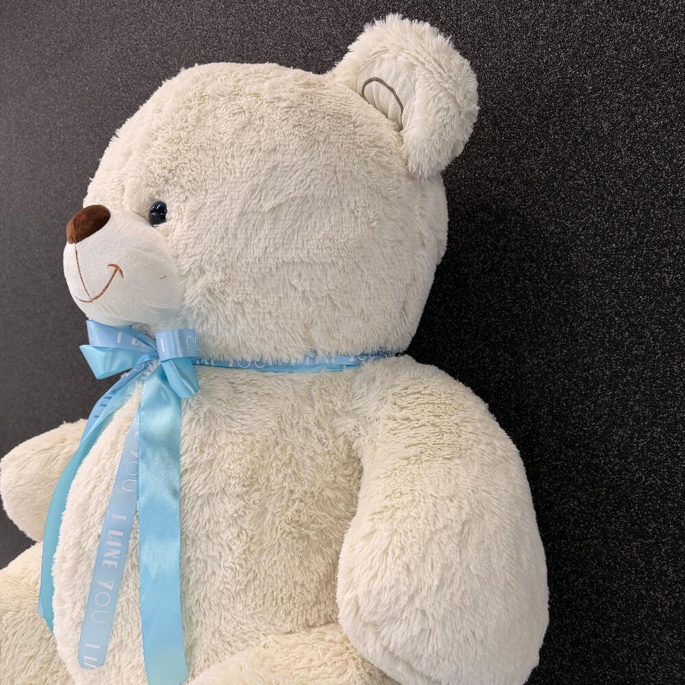 The big bear cub