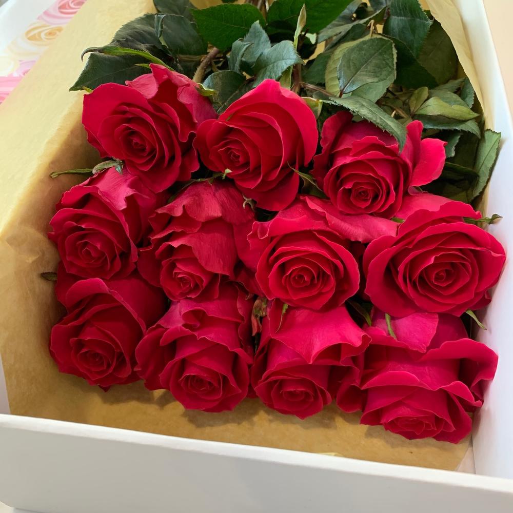 Only roses hot pink