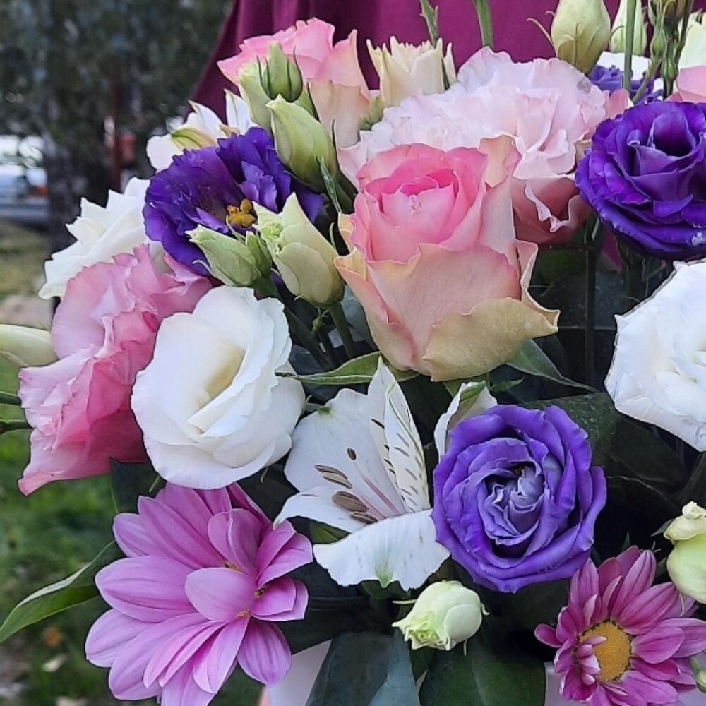 Яркая полянка🌺