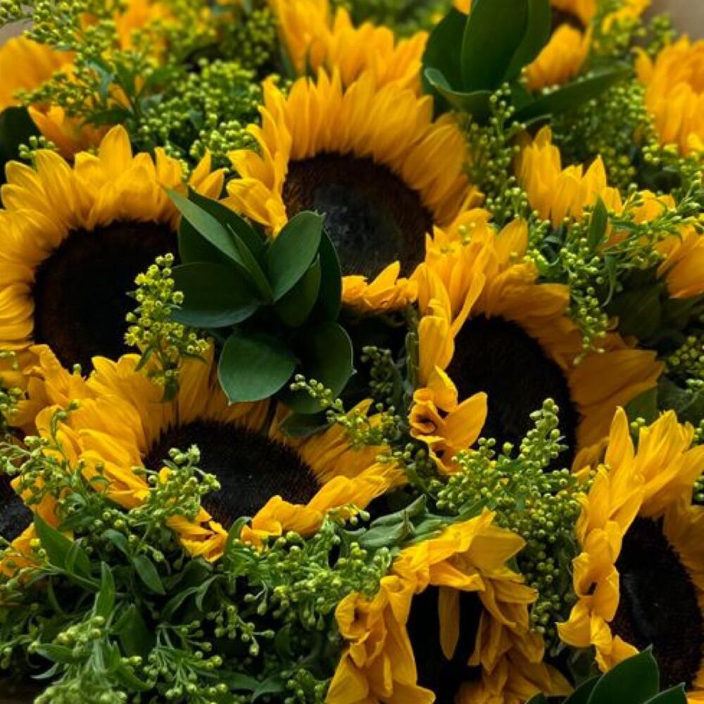 Букет из 15 подсолнухов Солнышко🌞