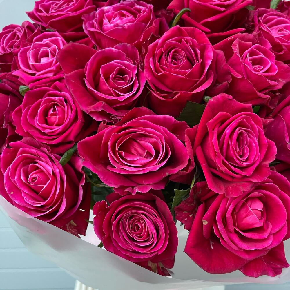 25 малиновых роз 🌺